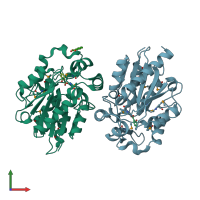 PDB entry 1y7i coloured by chain, front view.