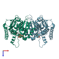 PDB entry 1y7t coloured by chain, top view.