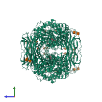 Homo tetrameric assembly 3 of PDB entry 1y7v coloured by chemically distinct molecules, side view.