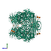 Homo tetrameric assembly 4 of PDB entry 1y7v coloured by chemically distinct molecules, side view.