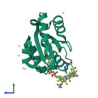 PDB entry 1y80 coloured by chain, side view.