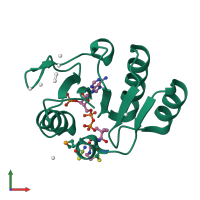 PDB entry 1y81 coloured by chain, front view.