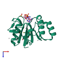 PDB entry 1y81 coloured by chain, top view.