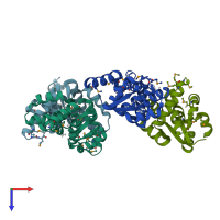 PDB entry 1y82 coloured by chain, top view.