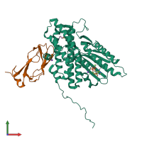 PDB entry 1y8o coloured by chain, front view.