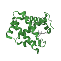 The deposited structure of PDB entry 1y8w contains 2 copies of SCOP domain 46463 (Globins) in Hemoglobin subunit alpha. Showing 1 copy in chain A.