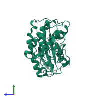 Cyclin-dependent kinase 2 in PDB entry 1y91, assembly 1, side view.