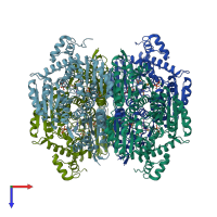 PDB entry 1y9d coloured by chain, top view.