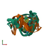 PDB entry 1y9h coloured by chain, ensemble of 9 models, front view.