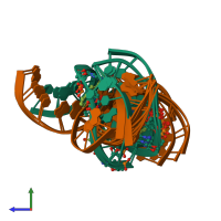 PDB entry 1y9h coloured by chain, ensemble of 9 models, side view.