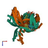 PDB entry 1y9h coloured by chain, ensemble of 9 models, top view.