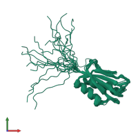PDB entry 1y9o coloured by chain, ensemble of 20 models, front view.