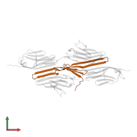 Telethonin in PDB entry 1ya5, assembly 1, front view.