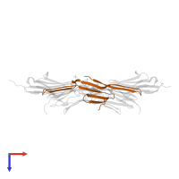 Telethonin in PDB entry 1ya5, assembly 1, top view.