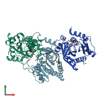 PDB entry 1ybf coloured by chain, front view.