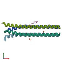 PDB entry 1ybk coloured by chain, front view.