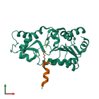 PDB 1yc5 coloured by chain and viewed from the front.