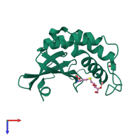 PDB entry 1ycl coloured by chain, top view.