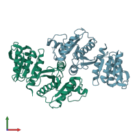 PDB entry 1yco coloured by chain, front view.