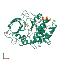 PDB entry 1ydr coloured by chain, front view.