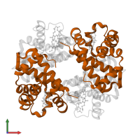 Hemoglobin subunit beta in PDB entry 1ydz, assembly 1, front view.