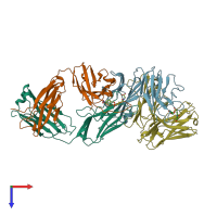 PDB entry 1yed coloured by chain, top view.