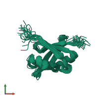 PDB entry 1yel coloured by chain, ensemble of 20 models, front view.