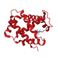 The deposited structure of PDB entry 1yeq contains 2 copies of CATH domain 1.10.490.10 (Globin-like) in Hemoglobin subunit alpha. Showing 1 copy in chain A.