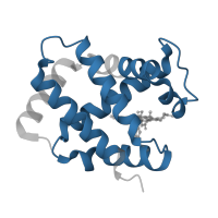 The deposited structure of PDB entry 1yeq contains 2 copies of Pfam domain PF00042 (Globin) in Hemoglobin subunit alpha. Showing 1 copy in chain A.