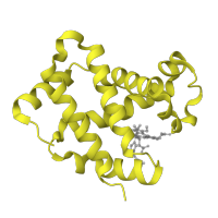 The deposited structure of PDB entry 1yeq contains 2 copies of SCOP domain 46463 (Globins) in Hemoglobin subunit beta. Showing 1 copy in chain B.