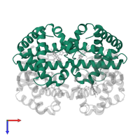 Hemoglobin subunit alpha in PDB entry 1yeu, assembly 1, top view.