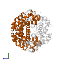 Hemoglobin subunit beta in PDB entry 1yeu, assembly 1, side view.