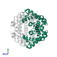 Hemoglobin subunit alpha in PDB entry 1yev, assembly 1, side view.