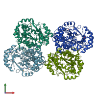 PDB entry 1yey coloured by chain, front view.