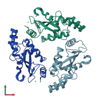 PDB entry 1yf9 coloured by chain, front view.