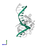5'-D(*GP*TP*GP*GP*AP*TP*GP*(XCY)P*GP*TP*GP*TP*AP*GP*GP*T)-3' in PDB entry 1yfh, assembly 1, side view.
