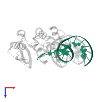 5'-D(*GP*TP*GP*GP*AP*TP*GP*(XCY)P*GP*TP*GP*TP*AP*GP*GP*T)-3' in PDB entry 1yfh, assembly 1, top view.