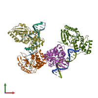 PDB entry 1yfl coloured by chain, front view.