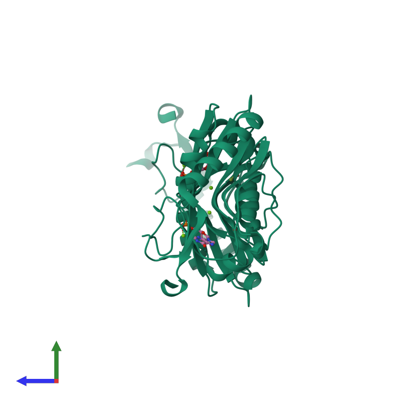 <div class='caption-body'><ul class ='image_legend_ul'>The deposited structure of PDB entry 1yfz coloured by chemically distinct molecules and viewed from the side. The entry contains: <li class ='image_legend_li'>2 copies of Hypoxanthine-guanine phosphoribosyltransferase</li><li class ='image_legend_li'>[]<ul class ='image_legend_ul'><li class ='image_legend_li'>2 copies of ACETATE ION</li> <li class ='image_legend_li'>4 copies of MAGNESIUM ION</li> <li class ='image_legend_li'>2 copies of INOSINIC ACID</li></ul></li></div>