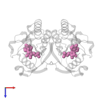 INOSINIC ACID in PDB entry 1yfz, assembly 2, top view.