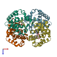 PDB entry 1ygd coloured by chain, top view.