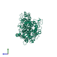 Seed linoleate 13S-lipoxygenase-1 in PDB entry 1yge, assembly 1, side view.