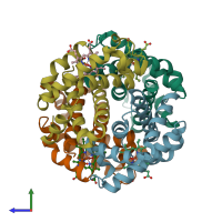 PDB entry 1ygf coloured by chain, side view.