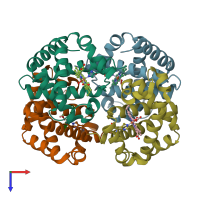 PDB entry 1ygf coloured by chain, top view.