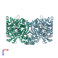 PDB entry 1ygp coloured by chain, top view.
