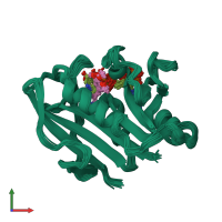 PDB entry 1yho coloured by chain, ensemble of 25 models, front view.