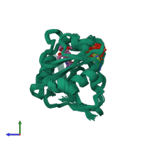 PDB entry 1yho coloured by chain, ensemble of 25 models, side view.