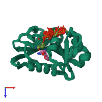 PDB entry 1yho coloured by chain, ensemble of 25 models, top view.