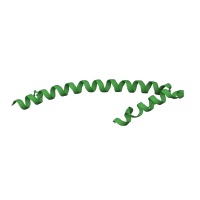 The deposited structure of PDB entry 1yig contains 2 copies of SCOP domain 140613 (EB1 dimerisation domain-like) in Microtubule-associated protein RP/EB family member 1. Showing 1 copy in chain A.