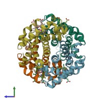 PDB entry 1yih coloured by chain, side view.